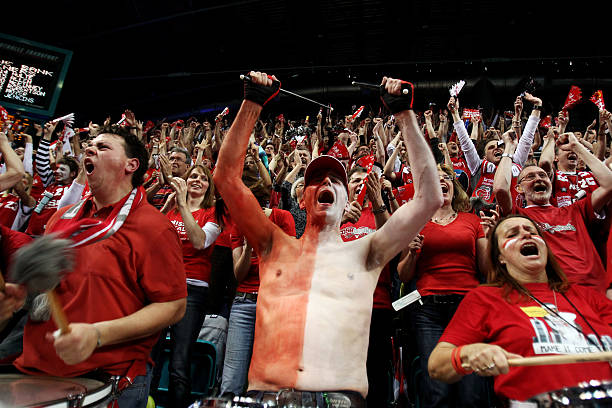 心理学研究 心理学研究